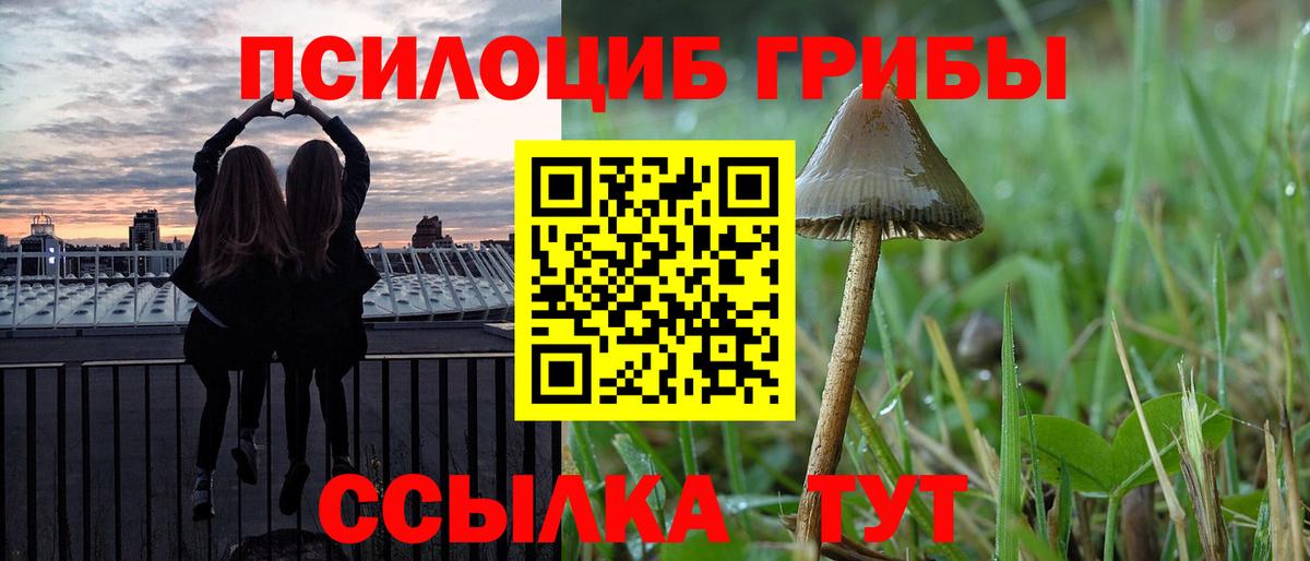 Псилоцибиновые грибы ЛСД  Вход с VPN  Каспийск 